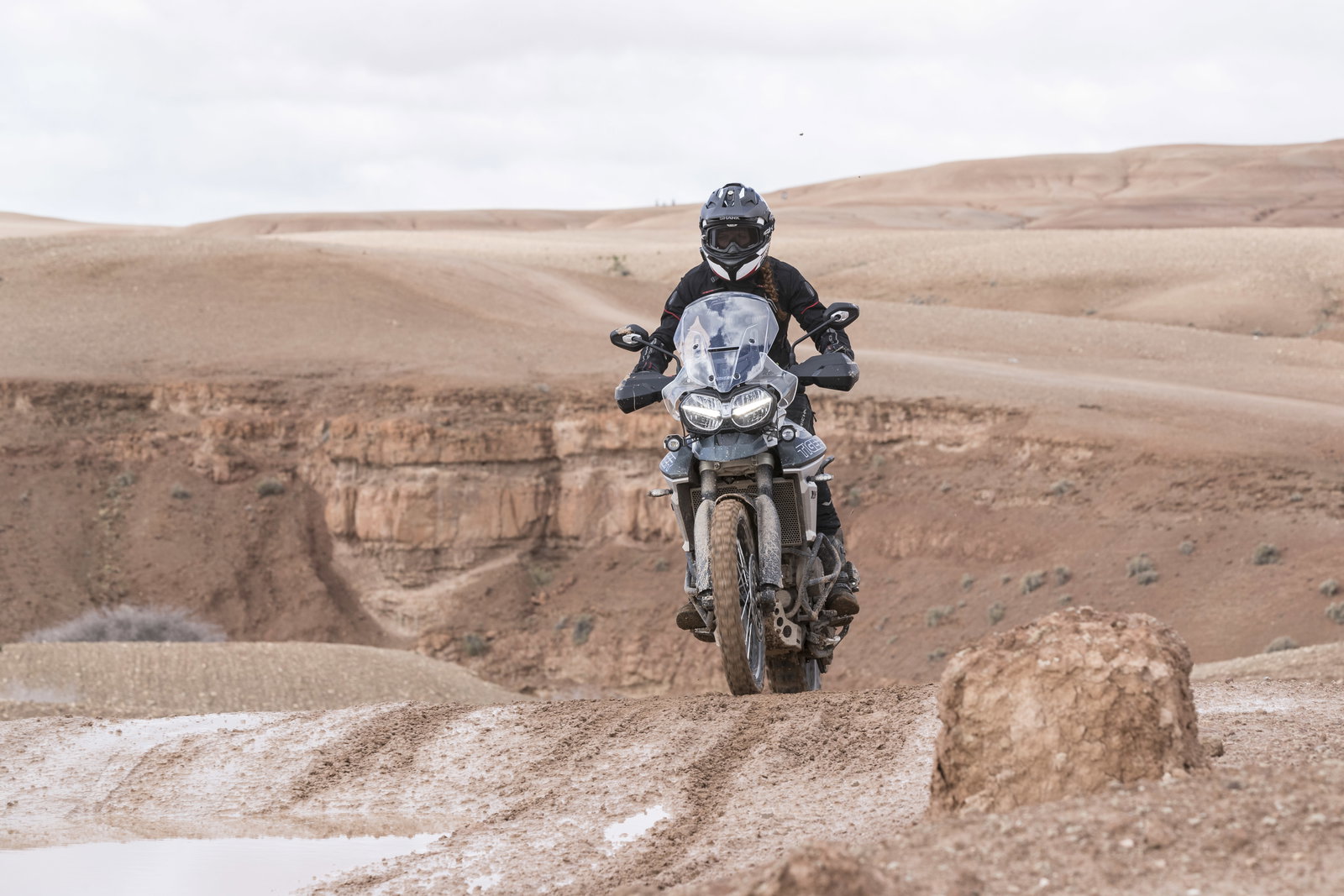 Insuring British racers do well